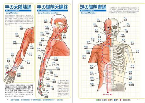 玉穴|経穴（ツボ）の一覧と読み方